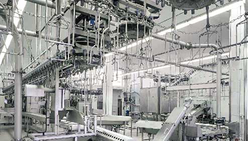 Süddeutsche Truthahn Innenansicht