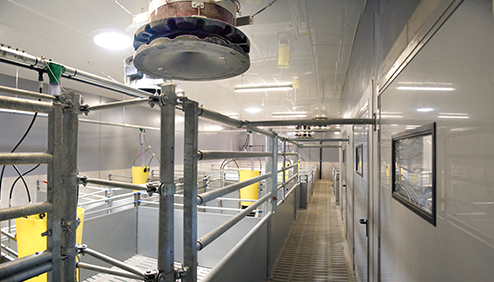 Schlachtbetrieb Innenansicht